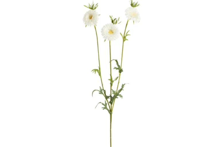 13″ Ranunculus Spray, Cream/Burgundy