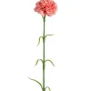 13″ Ranunculus Spray, Pink/Cream
