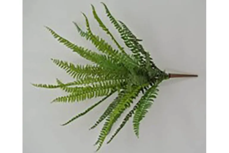22″ Real Touch Ruffle Fern