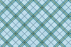Reeled In Bias Plaid Light Blue