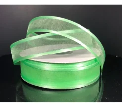 Ribbon – Mint Satin Edge Sheer 7/8-inch