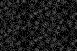 Riley Blake Halloween Spider Webs on Orange