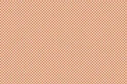 Riley Blake Halloween Spider Webs on Orange