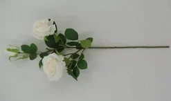 30″ Rose Stem, Cream