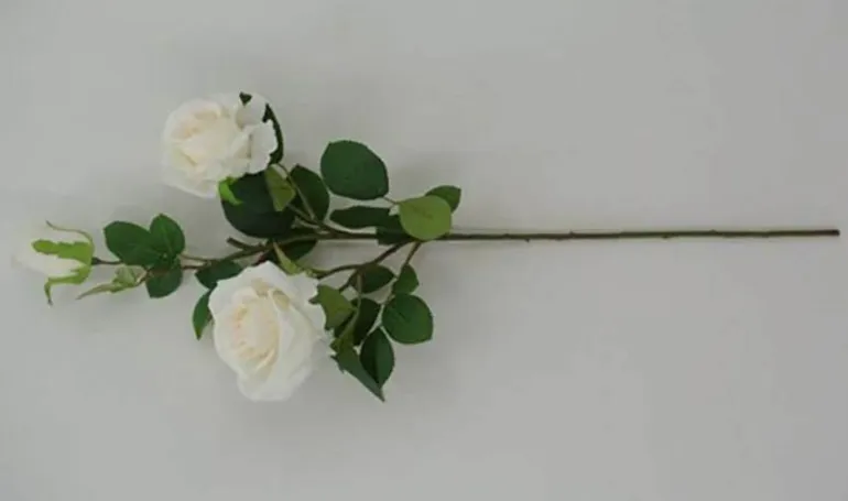 30″ Rose Stem, Cream