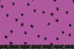 Ruby Star Freaky Familiars 2 1/2-inch strip roll, 40 count
