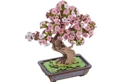 Sakura Bonsai Model Kit