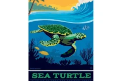 Sea Turtle – 300 Piece Puzzle