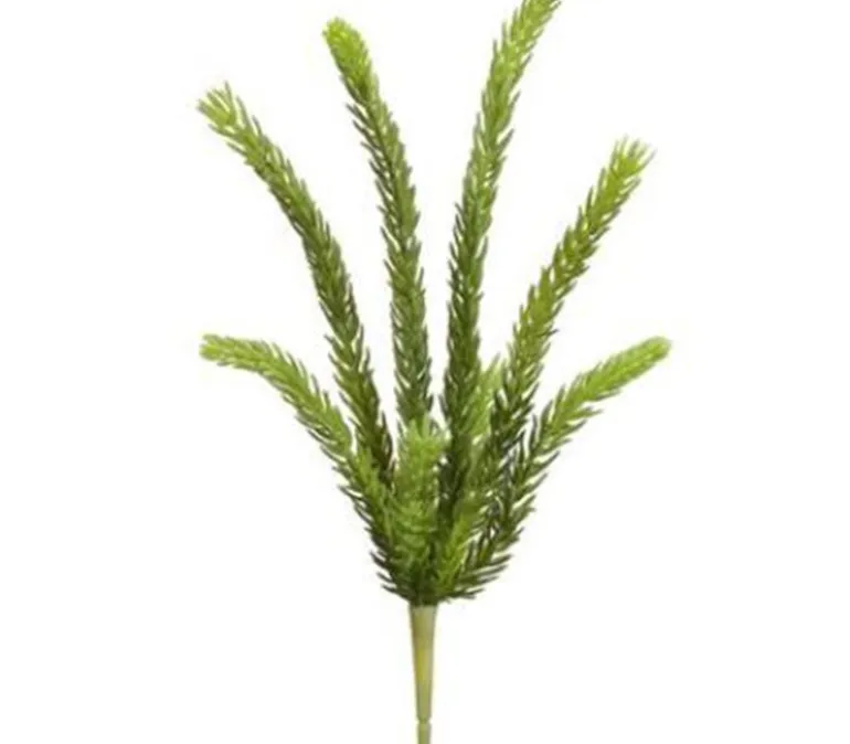 15″ Senecio Pick