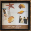 Shadowbox Scrapbook Frame – 12-inch x 12-inch – Black