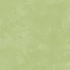 Shadow Play Cotton Basic in Butterfly Green