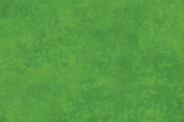 Shadow Play Flannel Basic in Leap Frog Green