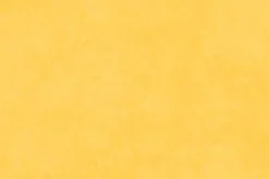 Shadow Play Flannel Basic in Sunflower Yellow