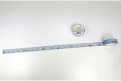 Silly Goose! Washi Tape