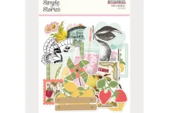 Simple Stories Pink Lemonade 12×12 Paper – Main Squeeze