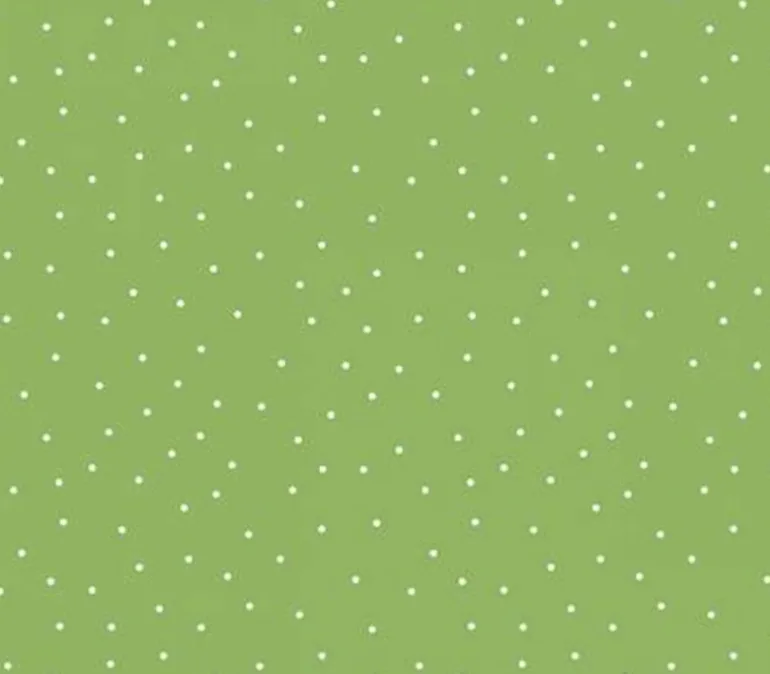 Sippin’ on Sunshine Bias Gingham Green on White