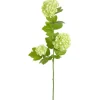 11.8″ Soft Aeonium Pick, Burgundy/Green