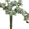 7″ Soft Green Grey Sedum Pick