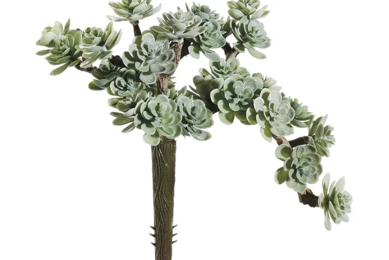 7″ Soft Green Grey Sedum Pick