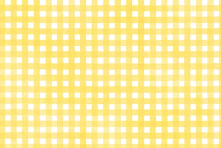 Sorbet Flannel Gingham Plaid Lime Green on White