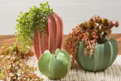 SPC Light Green Cactus Vase – 4-inch