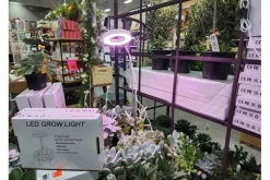 SPC Novelty Grow Light – Indoor Plant Lighting