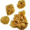 Sponge Set – Combination