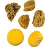 Sponge Set – Watercolor
