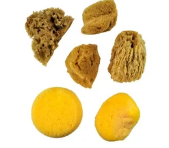 Sponge Set – Watercolor
