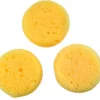 Sponge – Small