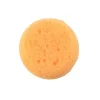 Sponge – Synthetic