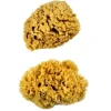 Sponge Value Pack – Extra Large