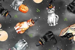 Spooky Tails Tossed Witch Hats on Orange