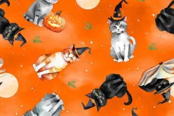 Spooky Tails Tossed Witch Hats on Orange