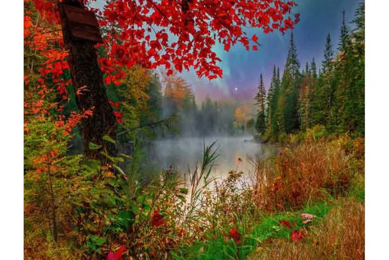 Springbok Early Dawn on the Lake Puzzle – 1000 Piece