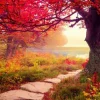 Springbok Harbor in the Fall Puzzle – 500 Piece