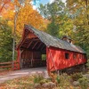 Springbok Loonsong Bridge Puzzle – 1000 Piece
