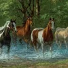 Springbok Summer Creek Puzzle – 500 Piece