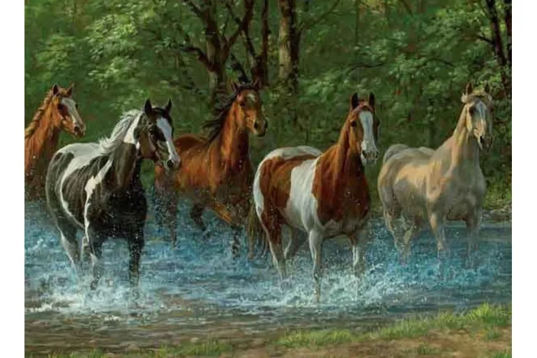 Springbok Summer Creek Puzzle – 500 Piece