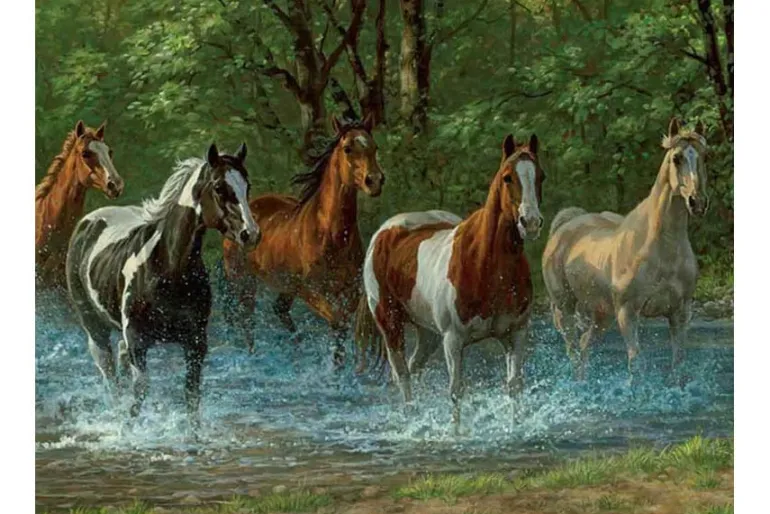 Springbok Summer Creek Puzzle – 500 Piece