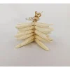 Starfish Bundle Set – 6 Piece