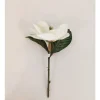 Stem – Magnolia – 12-inch