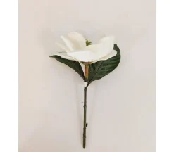 Stem – Magnolia – 12-inch