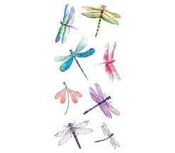 Stickers – Dragonfly