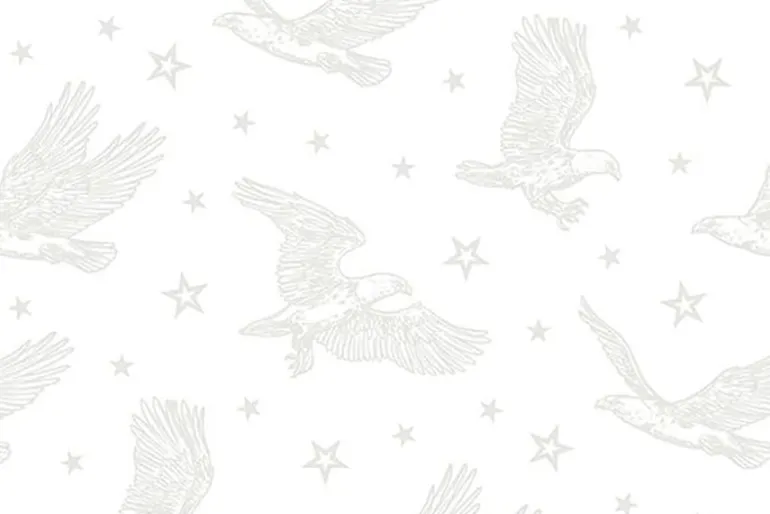 Strength and Honor White on White U.S.A Bias Stripe