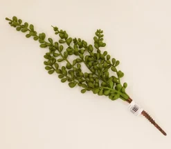 String of Pearl Spray – 13-inch