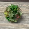 10″ Succulent Bundle, Mauve