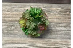 10″ Succulent Bundle, Mauve