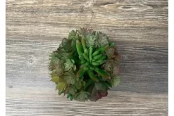 10″ Succulent Bundle, Mauve