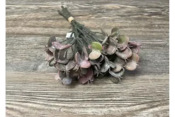 10″ Succulent Bundle, Mauve